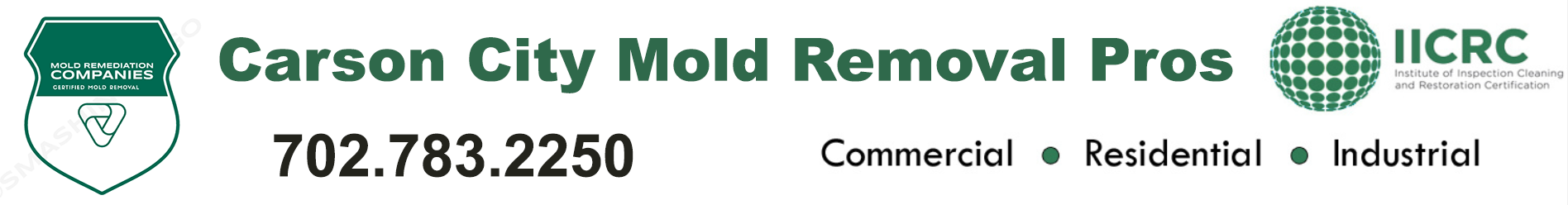 Carson City Mold Removal Pros